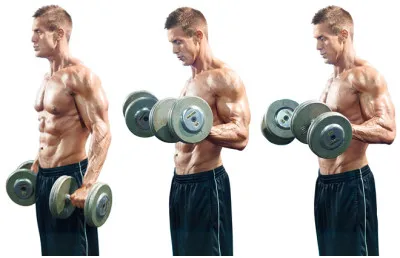 Zottman Curl: 19. Yüzyıldan Kalma Biceps Hareketi