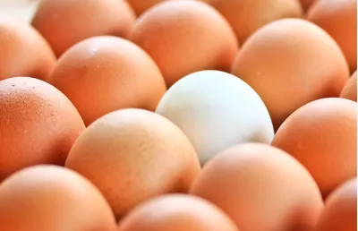 Çiğ Yumurta Gerçekten Faydalı Mı?
