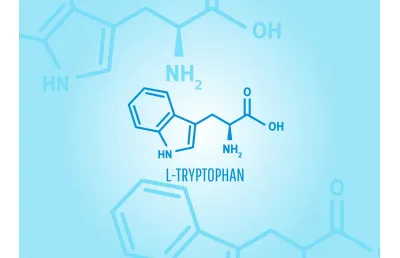 Triptofan Nedir, Ne İşe Yarar, Hangi Besinlerde Bulunur?