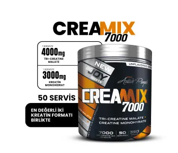 Bigjoy Creamix 7000 Aromasız 350g